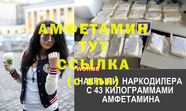 гашик Алексеевка