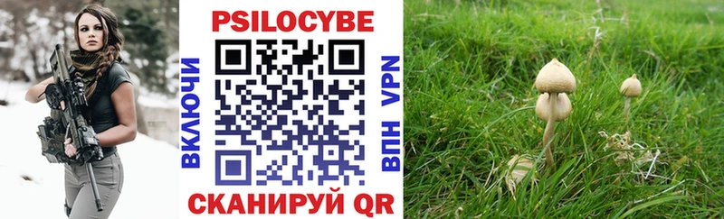 сайты даркнета формула Абдулино Псилоцибиновые грибы Magic Shrooms наркотики